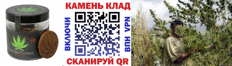 Купить закладки  Ижевск  Печенье с ТГК конопля 