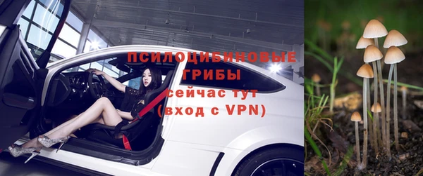 СК Зерноград