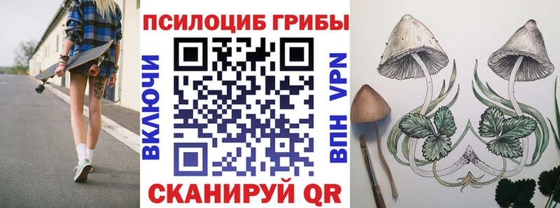 Псилоцибиновые грибы мицелий  Купить  Ижевск